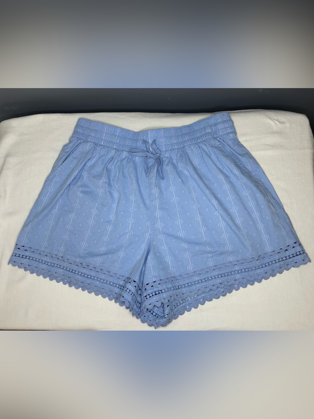 Crown & Ivy Shorts Womens XL Blue Eyelet Lace Scallop Hem Cotton Coquette Boho